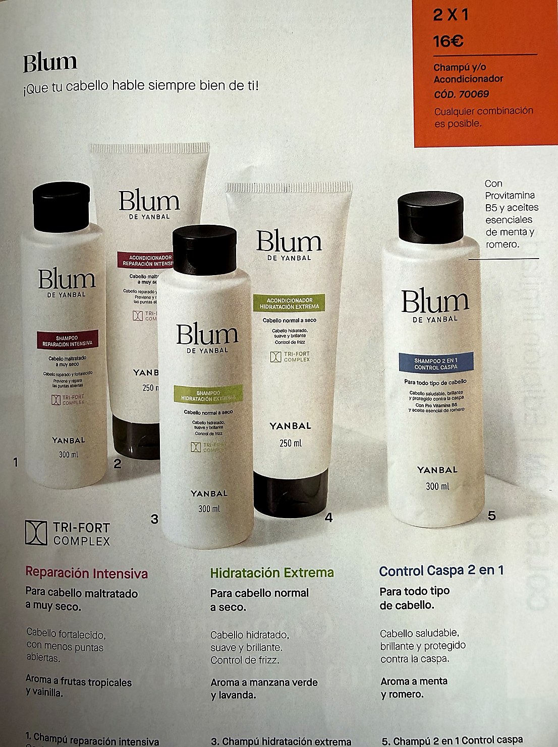 Blum champú o acondicionador